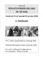 Opération poule pondeuse